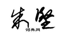 朱锡荣朱坚草书个性签名怎么写