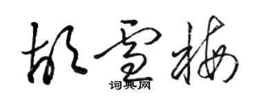 骆恒光胡雪梅草书个性签名怎么写