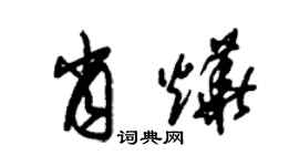 朱锡荣肖烨草书个性签名怎么写