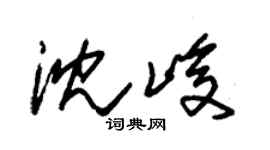 朱锡荣沈峻草书个性签名怎么写