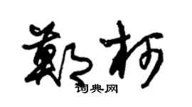 朱锡荣郑柯草书个性签名怎么写