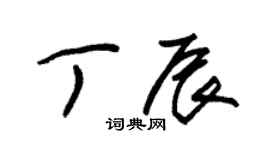 朱锡荣丁辰草书个性签名怎么写