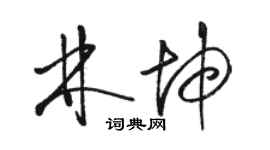 骆恒光林坤草书个性签名怎么写
