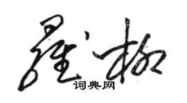 骆恒光罗柳草书个性签名怎么写