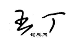 朱锡荣王丁草书个性签名怎么写
