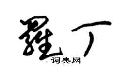 朱锡荣罗丁草书个性签名怎么写