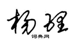 朱锡荣杨理草书个性签名怎么写