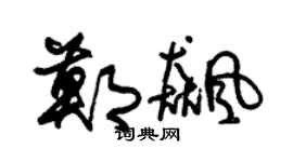 朱锡荣郑飚草书个性签名怎么写