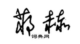 朱锡荣蒋赫草书个性签名怎么写