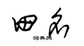 朱锡荣田名草书个性签名怎么写