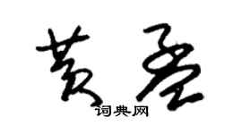 朱锡荣黄孟草书个性签名怎么写