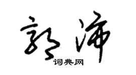 朱锡荣郭沛草书个性签名怎么写