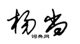 朱锡荣杨尚草书个性签名怎么写