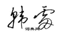 骆恒光韩雷草书个性签名怎么写