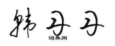 骆恒光韩丹丹草书个性签名怎么写