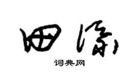 朱锡荣田添草书个性签名怎么写