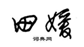 朱锡荣田媛草书个性签名怎么写