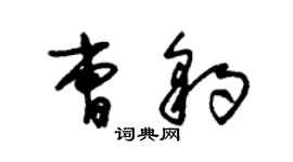 朱锡荣曹豹草书个性签名怎么写