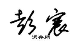 朱锡荣彭宸草书个性签名怎么写