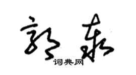 朱锡荣郭泰草书个性签名怎么写