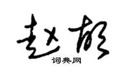 朱锡荣赵胡草书个性签名怎么写