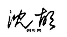 朱锡荣沈胡草书个性签名怎么写