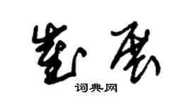 朱锡荣崔展草书个性签名怎么写