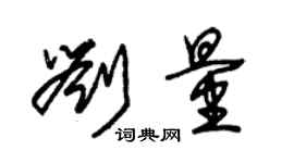 朱锡荣刘量草书个性签名怎么写