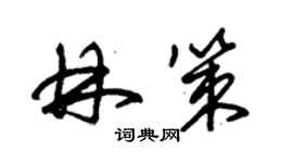 朱锡荣林策草书个性签名怎么写