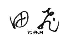 骆恒光田飞草书个性签名怎么写