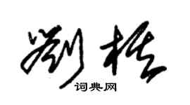 朱锡荣刘棋草书个性签名怎么写