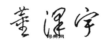 骆恒光董泽宇草书个性签名怎么写