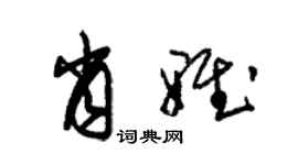 朱锡荣肖雅草书个性签名怎么写