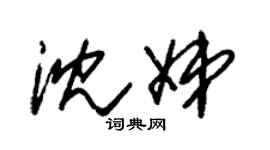 朱锡荣沈娣草书个性签名怎么写