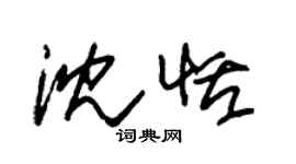 朱锡荣沈恬草书个性签名怎么写