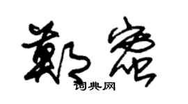 朱锡荣郑蜜草书个性签名怎么写