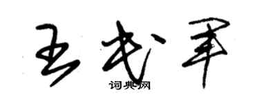 朱锡荣王民军草书个性签名怎么写