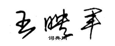 朱锡荣王映军草书个性签名怎么写