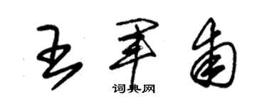 朱锡荣王军甫草书个性签名怎么写