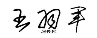 朱锡荣王羽军草书个性签名怎么写