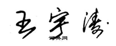 朱锡荣王宇涛草书个性签名怎么写