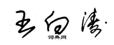 朱锡荣王向涛草书个性签名怎么写
