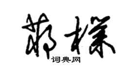 朱锡荣蒋朴草书个性签名怎么写