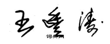 朱锡荣王丰涛草书个性签名怎么写
