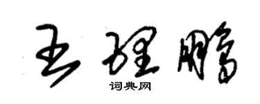 朱锡荣王理鹏草书个性签名怎么写