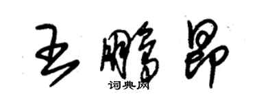 朱锡荣王鹏昂草书个性签名怎么写