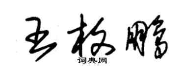 朱锡荣王枚鹏草书个性签名怎么写