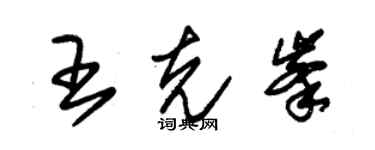 朱锡荣王克峰草书个性签名怎么写