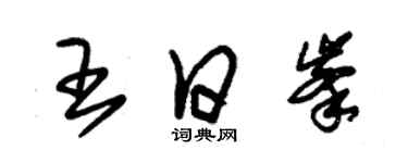 朱锡荣王日峰草书个性签名怎么写