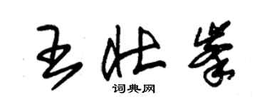 朱锡荣王壮峰草书个性签名怎么写